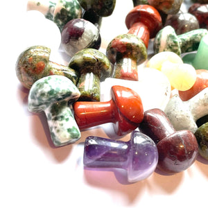 Mixed Mini Gemstone Mushrooms